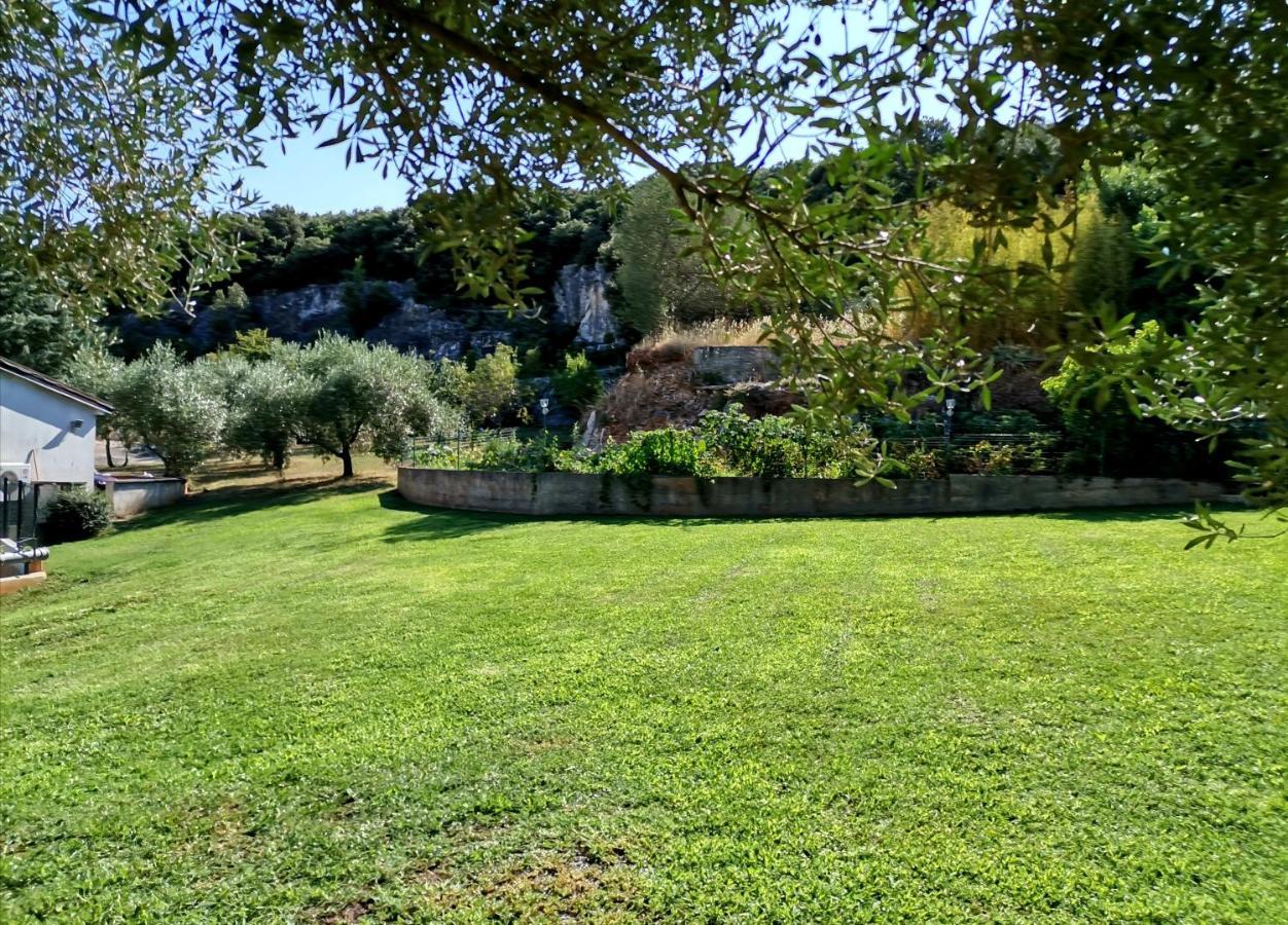 Flora