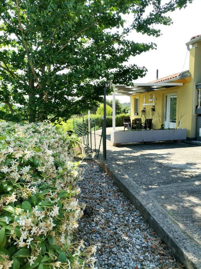 Apartman Flora *